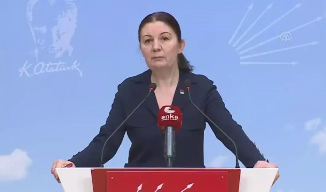 Eski CHP Bursa Milletvekili Lale Karabıyık hayatını kaybetti. Peki Lale