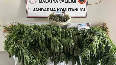 Malatya’nın Yeşilyurt ilçesine bağlı Dilek Mahallesi’nde İl Jandarma Komutanlığı ekipleri