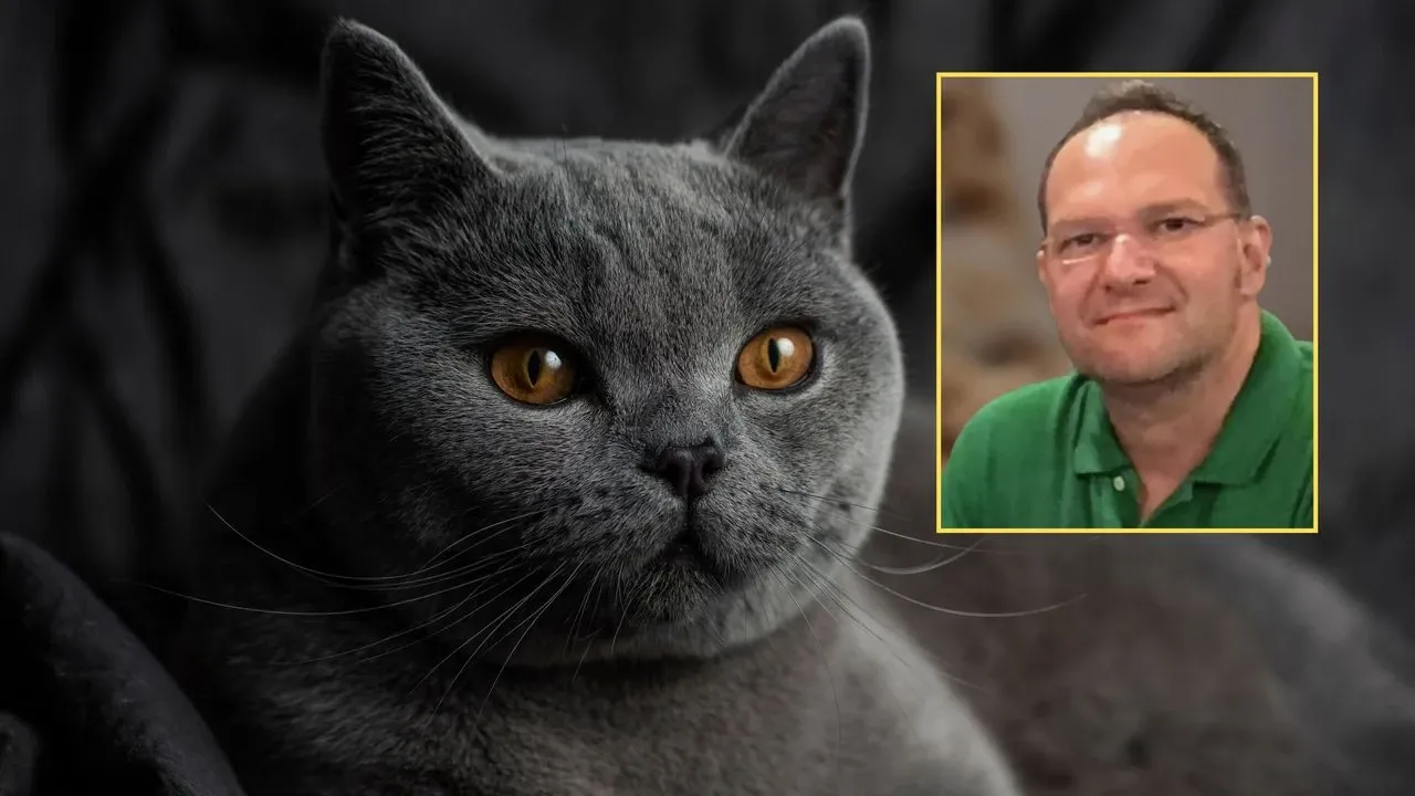 Okan Diköz Neden Öldü? Kedi Tüyü Öldürür Mü? Kedi kılından mı öldü?