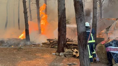 2025 yazında Türkiye’de 3.242 yangın meydana geldi. Peki, orman yangınları