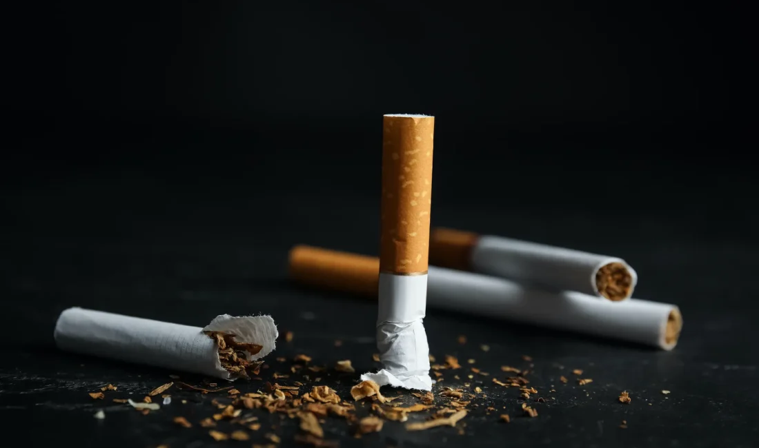 Sağlık Bakanı Kemal Memişoğlu, Türkiye Basın Federasyonu’nda düzenlenen “Anadolu Sohbetleri”