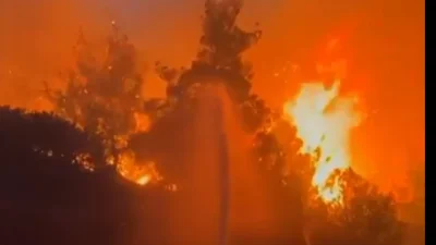 Türkiye’de son 5 günde çıkan 342 yangın büyük yıkıma yol