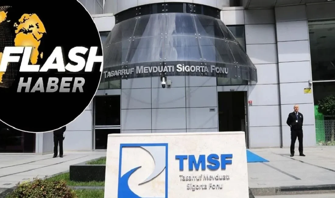 Tasarruf Mevduatı Sigorta Fonu (TMSF), kayyım olarak atandığı Göktuğ Multimedya