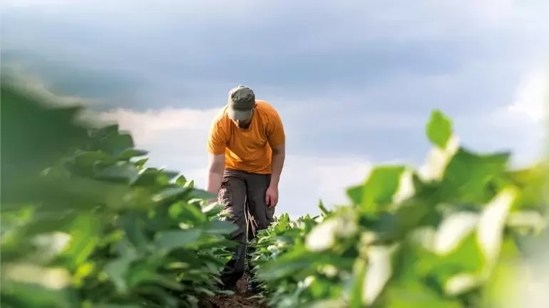 Türkiye’de tarımda çalışan nüfusun hızla yaşlanması, kırsal kalkınma ve tarımsal