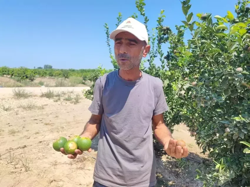 Adana, 9 Ağustos’ta son 95 yılın en sıcak gününü yaşadı.