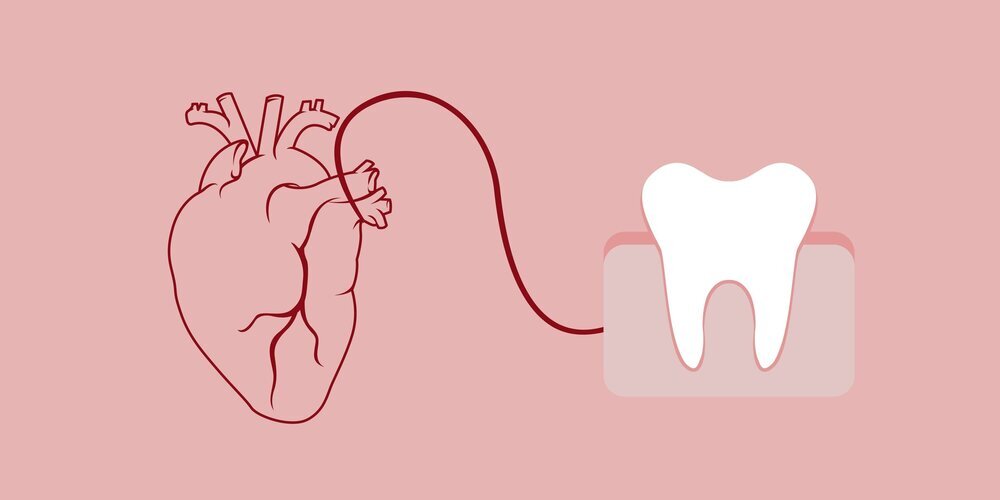 Harvard Üniversitesi tarafından 25 yıl süren kapsamlı bir araştırma, diş