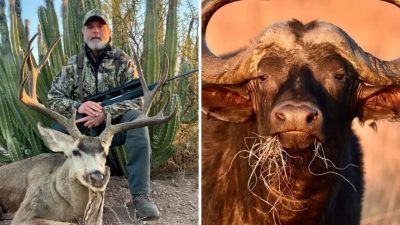 Güney Afrika'nın Limpopo eyaletinde düzenlenen lüks bir av turu, korkunç