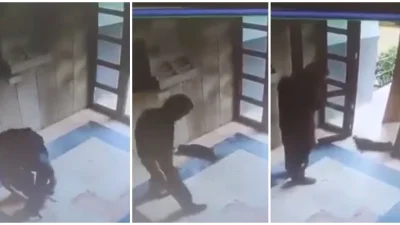  İstanbul Başakşehir’de “Cezve” isimli kediye işkence ederek öldüren Burak Alan