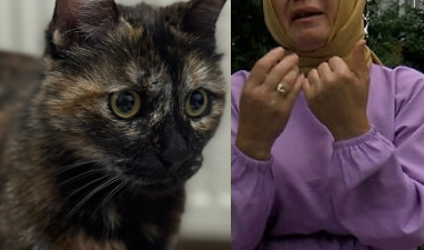 Başakşehir'de Cezve isimli kediyi vahşice öldüren Burak Alan tutuklandı. Oğlunu