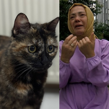 Başakşehir'de Cezve isimli kediyi vahşice öldüren Burak Alan tutuklandı. Oğlunu