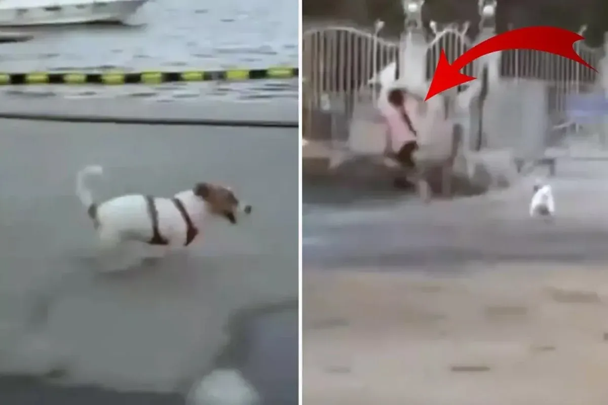 Dijan Köse Kimdir? Erol Köse’nin Kızı Hakkında Merak Edilenler