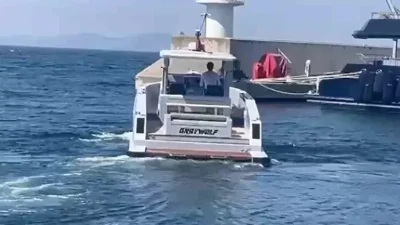 Halit Yukay kayboldu mu, bulundu mu, yaşıyor olabilir mi? Cesedi