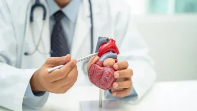 Kalp ve dolaşım sistemi hastalıkları, dünya genelinde her yıl yaklaşık