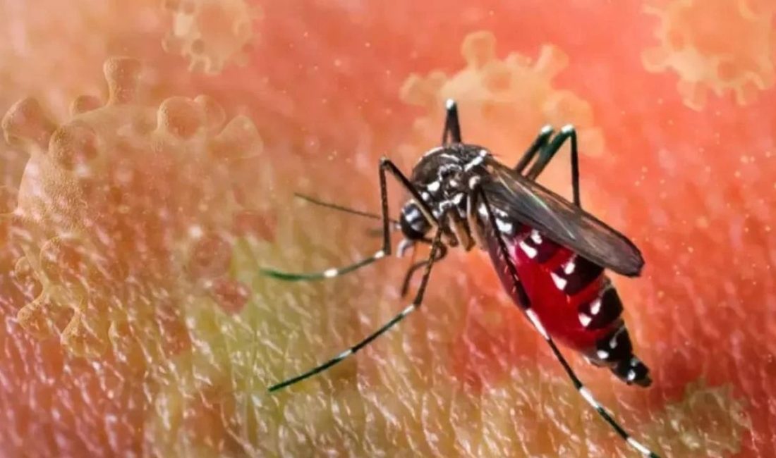 Çin’in güneyindeki Guangdong eyaletinde sivrisinek kaynaklı chikungunya virüsü hızla yayılıyor.
