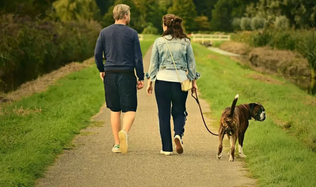 Türkiye İstatistik Kurumu (TÜİK) tarafından açıklanan yeni verilere göre, Türkiye’de