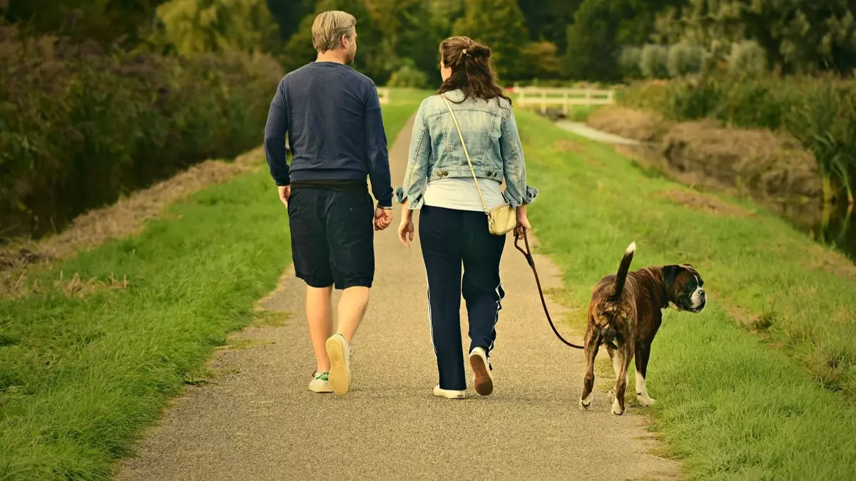 Türkiye İstatistik Kurumu (TÜİK) tarafından açıklanan yeni verilere göre, Türkiye’de