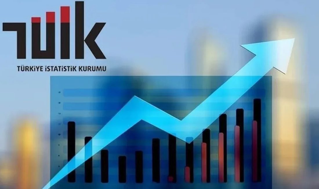 Türkiye İstatistik Kurumu (TÜİK), Temmuz 2025’e ilişkin enflasyon sepetindeki fiyat