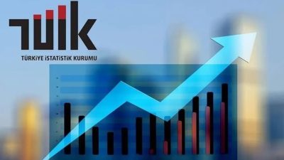 Türkiye İstatistik Kurumu (TÜİK), Temmuz 2025’e ilişkin enflasyon sepetindeki fiyat