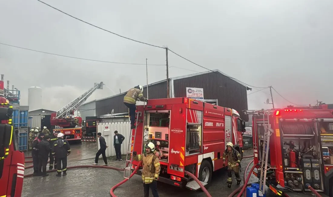 İstanbul Eyüpsultan’da çöp kovası, kömür üretimi ve araç tamiri yapılan