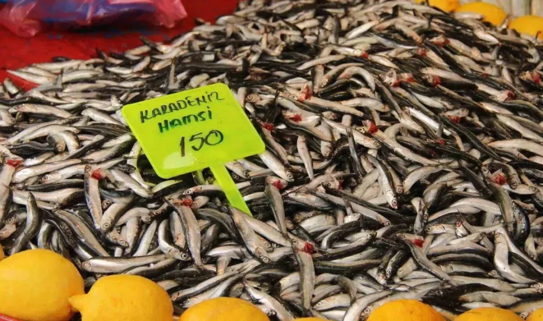 Muğla’nın Menteşe ilçesinde balık tezgahları son günlerin en hareketli dönemini