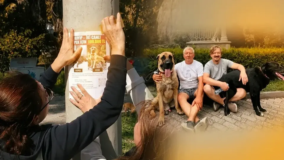 Antalya’nın Kemer ilçesinde doğa yürüyüşü sırasında kaybolan iki köpek için