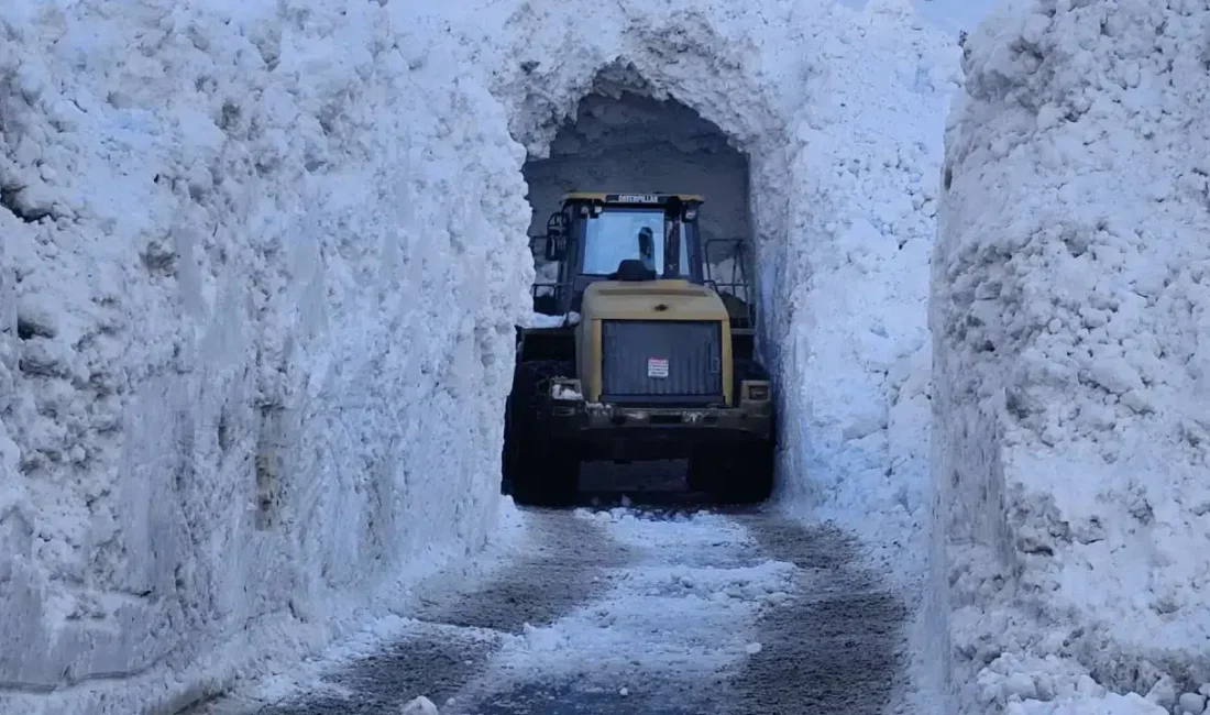 Van genelinde etkisini sürdüren kar yağışı ve şiddetli tipi hayatı