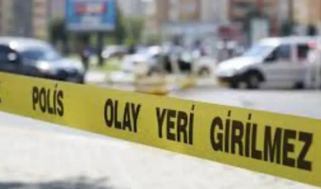 Antalya’nın Gazipaşa ilçesinde sabah saatlerinde yol kenarında hareketsiz yatan bir