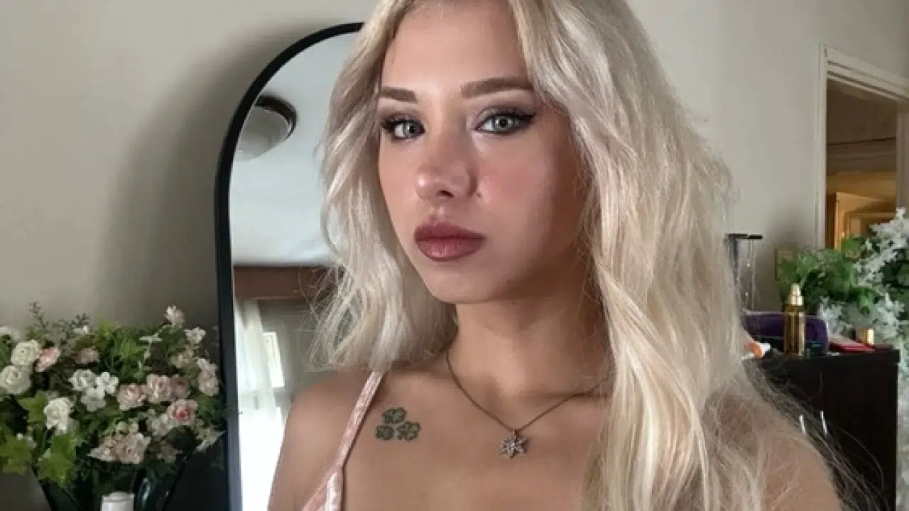 OnlyFans platformuna yönelik yürütülen geniş kapsamlı soruşturma kapsamında gözaltına alınan