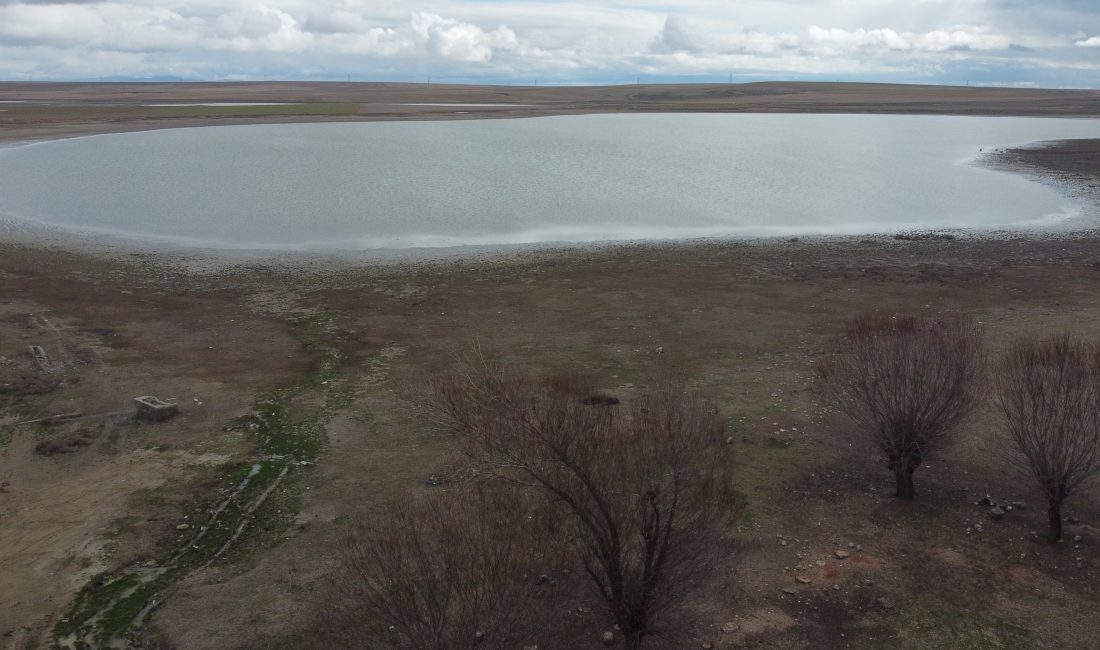 Konya’nın Kule ilçesinde bulunan ve kuraklık nedeniyle dört yıl önce