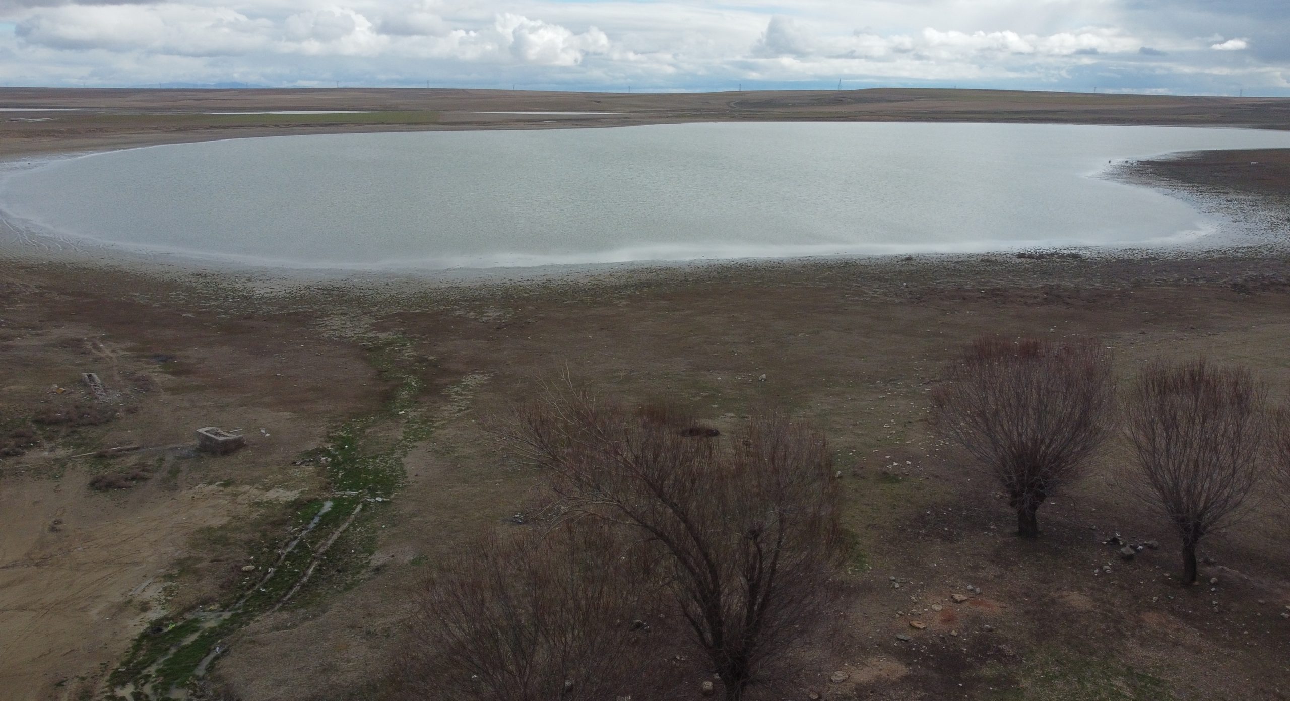 Konya’da yaklaşık 172 kuş türüne ve 54 bin canlıya ev