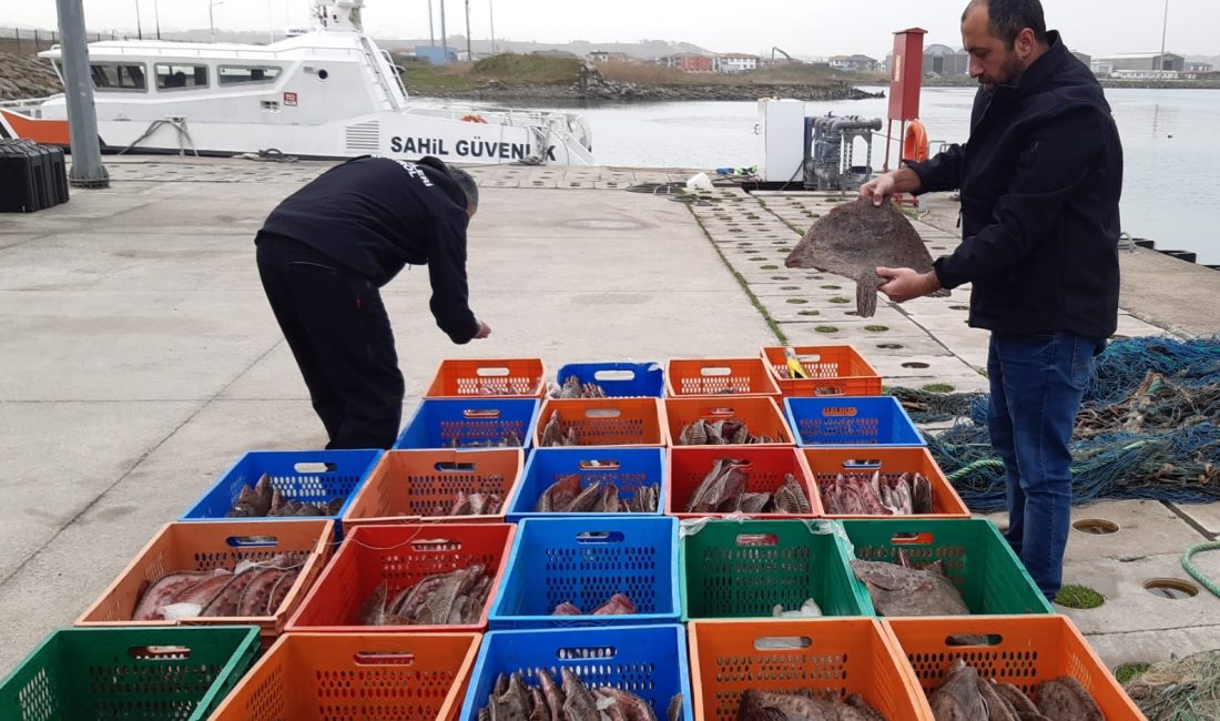 Sakarya’nın Karasu ilçesinde yasal sınırları hiçe sayarak avlanan balıkçılara yönelik