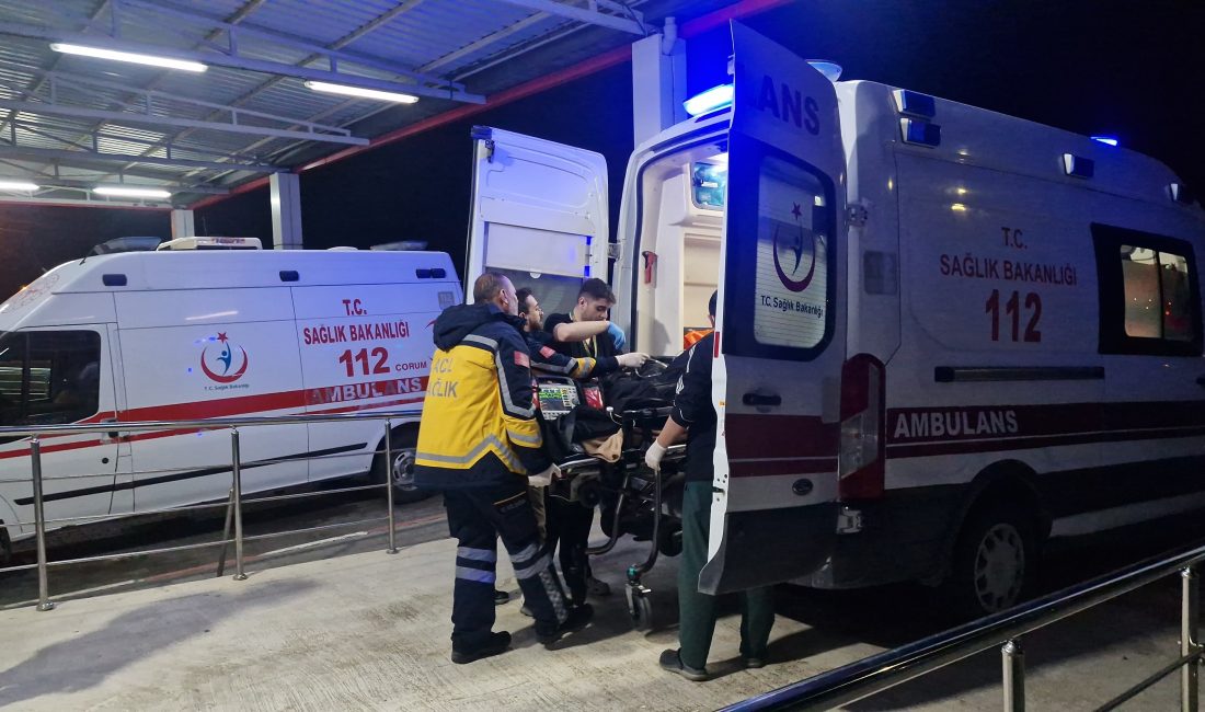 Çorum’un Alaca ilçesinde yaşayan Zehra ve Sefa Dökücü çifti, evlerindeki