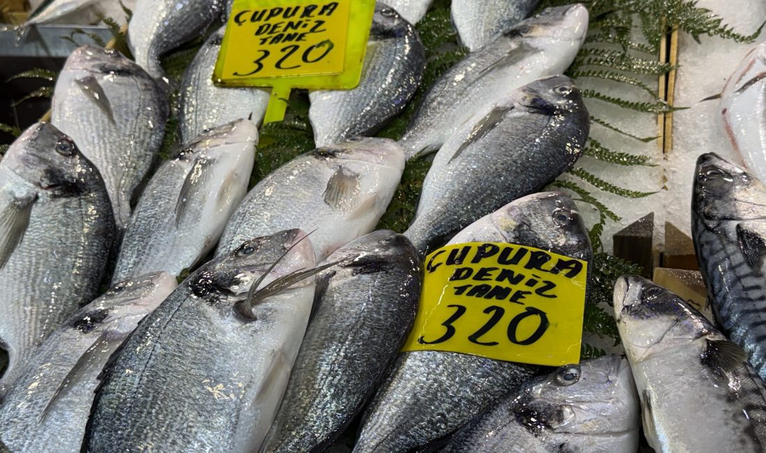 Marmara ve Karadeniz’i etkisi altına alan şiddetli fırtına balıkçı teknelerini