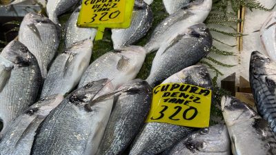 Marmara ve Karadeniz’i etkisi altına alan şiddetli fırtına balıkçı teknelerini