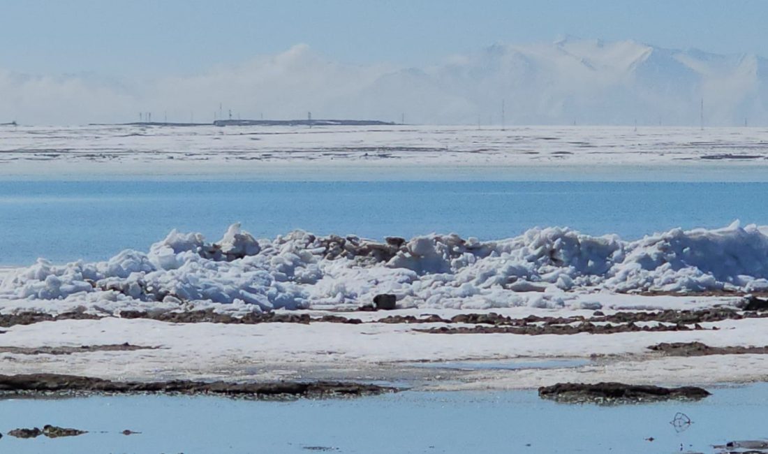 Bitlis’in Adilcevaz ilçesinde bulunan ve kuş cenneti olarak bilinen Arin