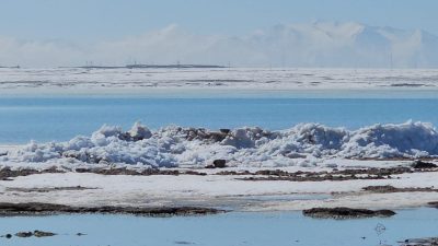 Bitlis’in Adilcevaz ilçesinde bulunan ve kuş cenneti olarak bilinen Arin