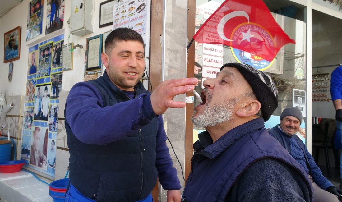 Kebabın başkenti Kilis’te balık tezgahları hamsinin gelişiyle yeniden şenlenirken ortaya