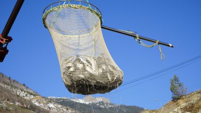 Gümüşhane, denizi olmamasına rağmen baraj göllerinde kurulan dev tesislerle alabalık
