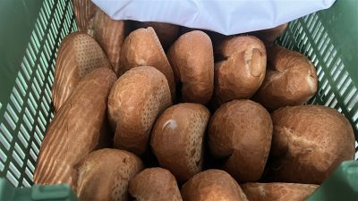 Hatay’ın Dörtyol ilçesinde bir hayırseverin belediyeye bağlı 16 halk ekmek