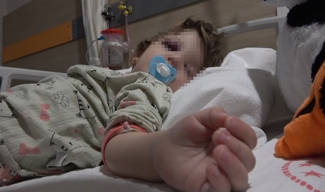 Yalova’nın Çınarcık ilçesinde yaklaşık bir yıldır süregelen komşu baskısı, kucağında