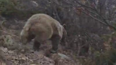 Erzurum’un İspir ilçesinde kuş gözlemi yapmak amacıyla dağlık araziye çıkan