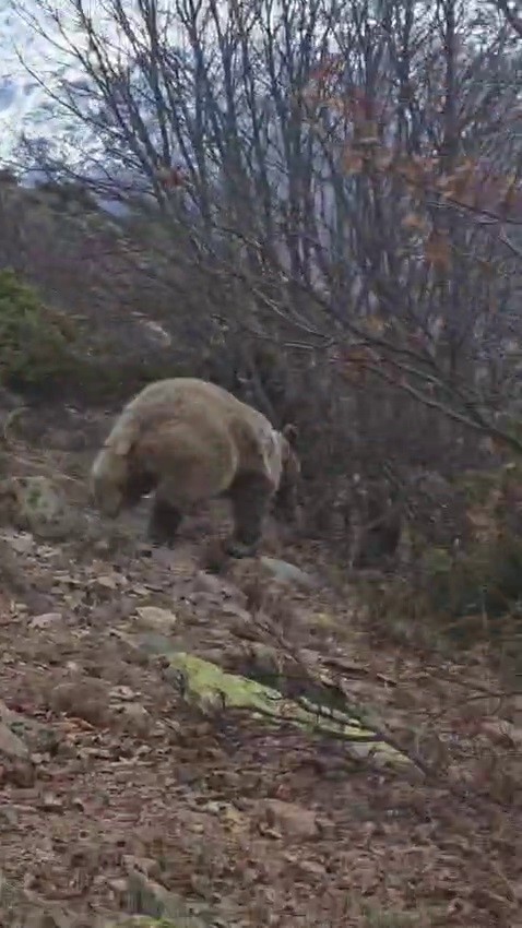 Erzurum’un İspir ilçesinde kuş gözlemi yapmak amacıyla dağlık araziye çıkan