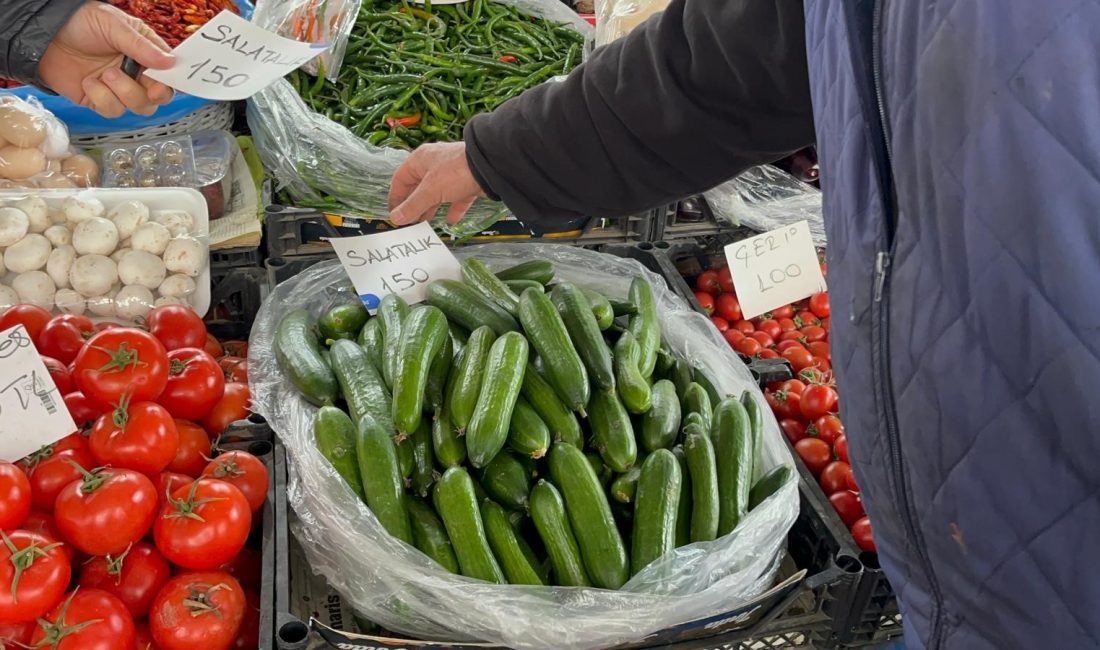 Muğla’da etkili olan şiddetli hava muhalefeti seralarda büyük yıkıma yol