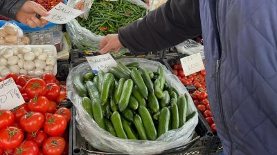Muğla’da etkili olan şiddetli hava muhalefeti seralarda büyük yıkıma yol