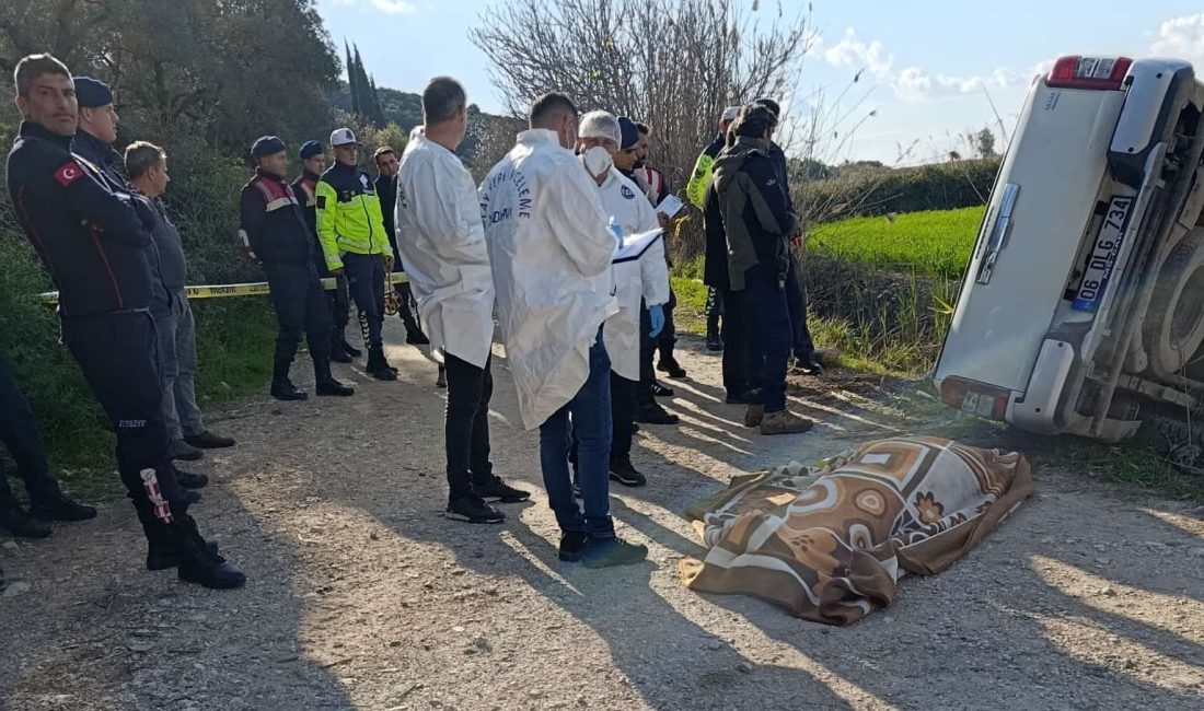 Aydın’ın Didim ilçesinde iki komşu arasında uzun süredir devam eden