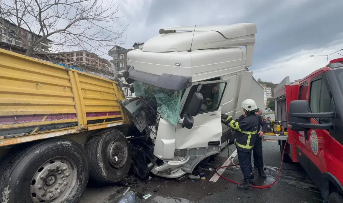 Rize’de arıza yaptığı için yol kenarında durmak zorunda kalan tıra