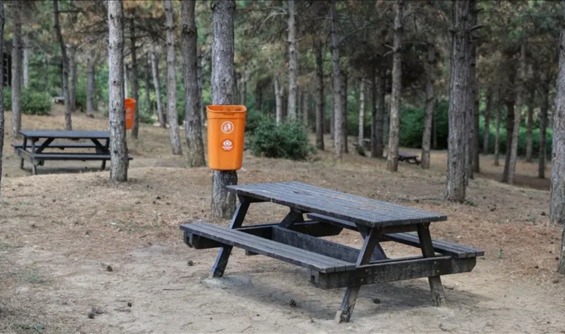 Mersin’in Mezitli ilçesinde ormanlık alana kaçak şekilde atık döküldüğünün tespit