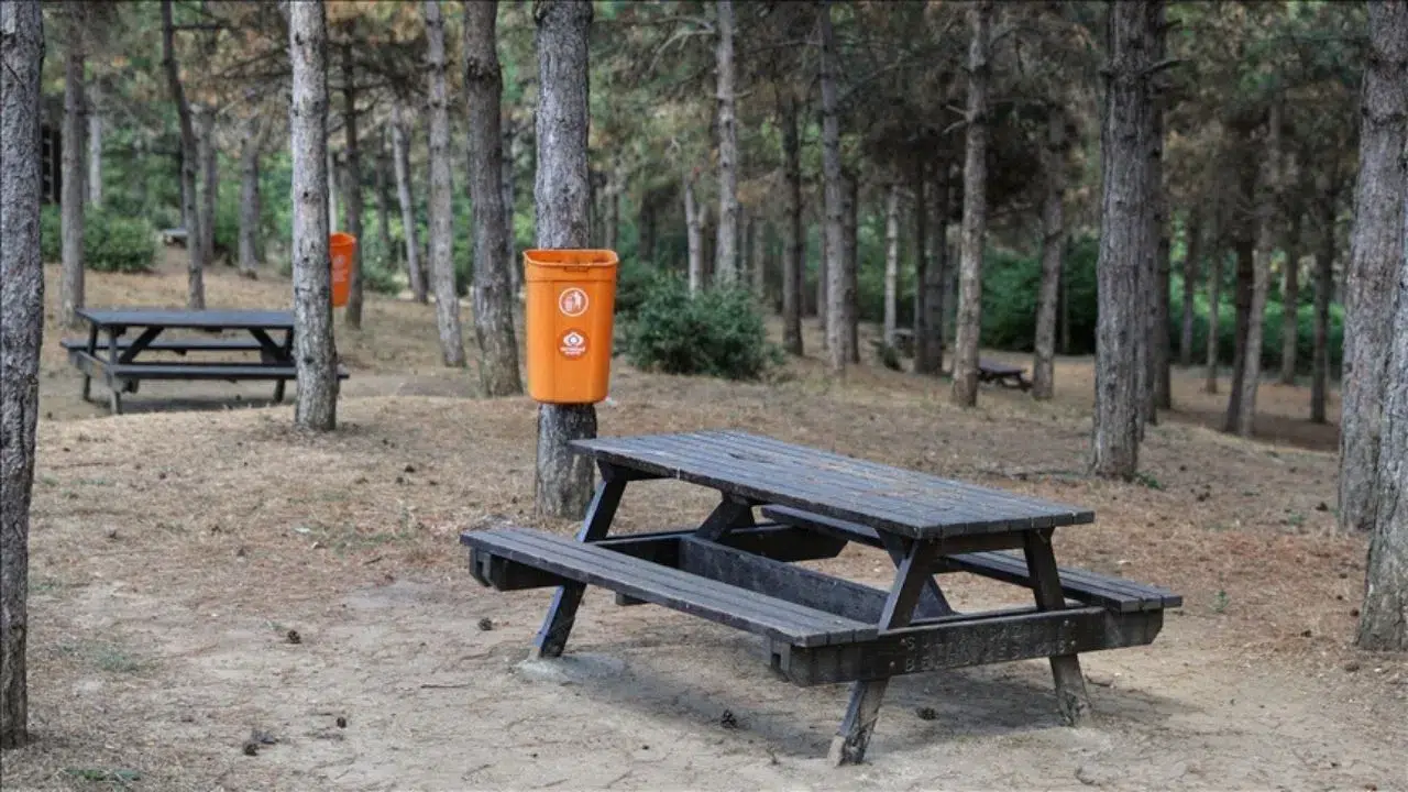 Mersin’in Mezitli ilçesinde ormanlık alana kaçak şekilde atık döküldüğünün tespit