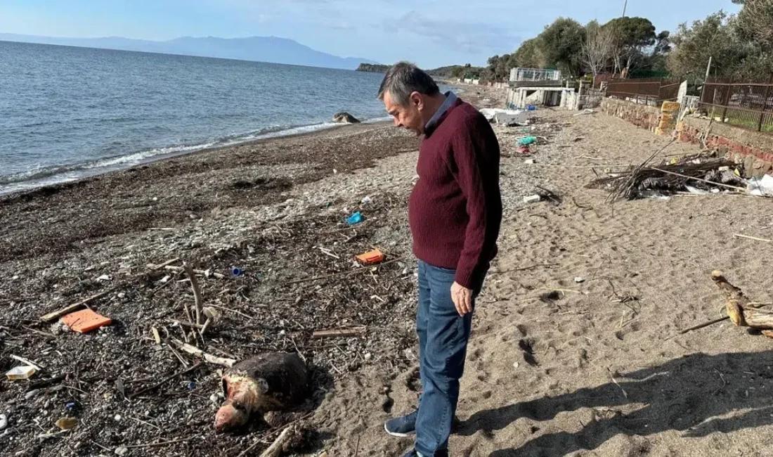 Çanakkale’nin Ayvacık ilçesine bağlı dünyaca ünlü Assos Sahili’nde kıyıya vuran