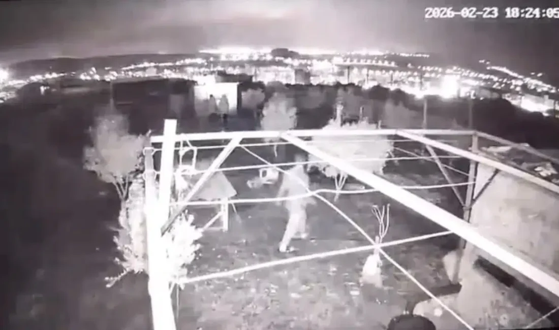 Osmaniye’nin Toprakkale ilçesinde bir hobi bahçesine dadanan hırsızlar, yaklaşık 40